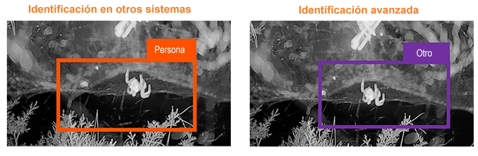 Identificación mejorada mediante inteligencia artificial distinción cosas
