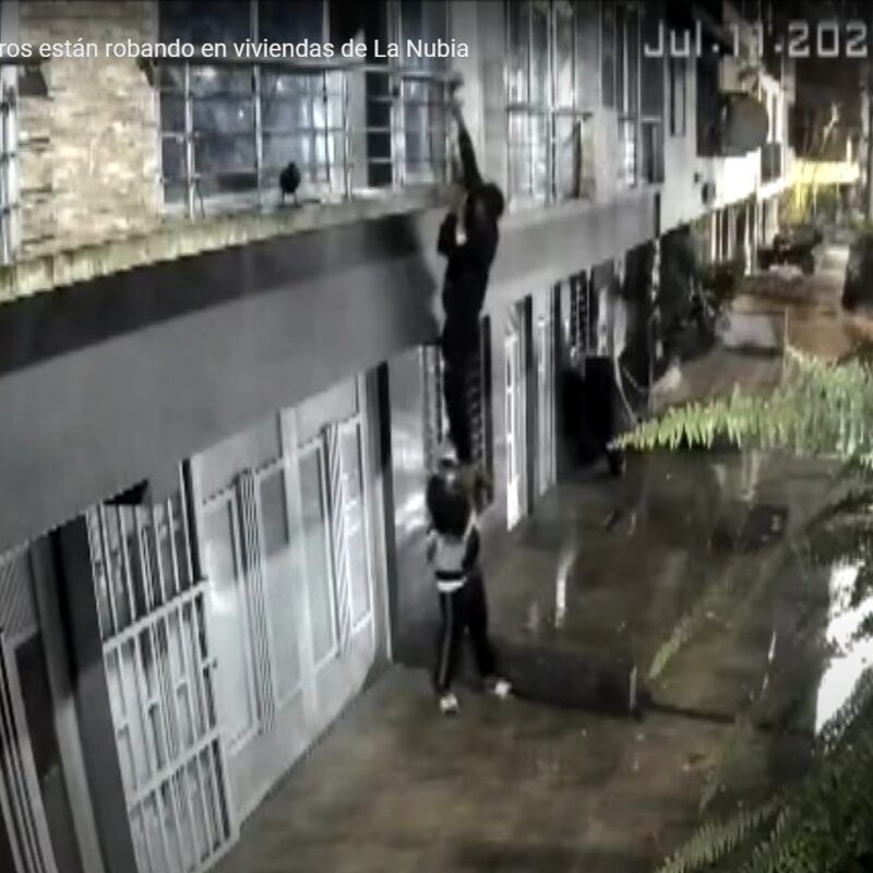 Ladrones ingresan por ventanal a robar en apartamento